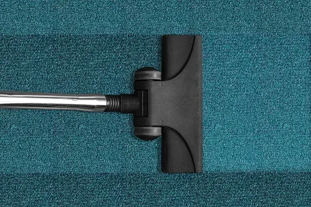 clean a carpet techniques