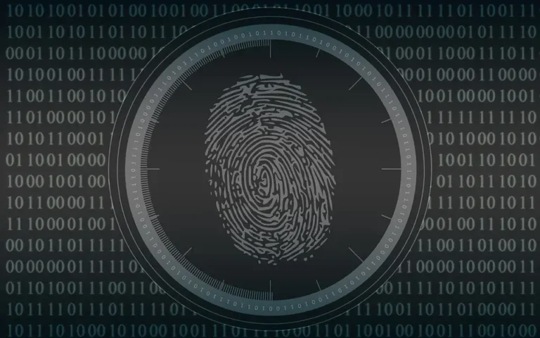 Fingerprint verification solutions